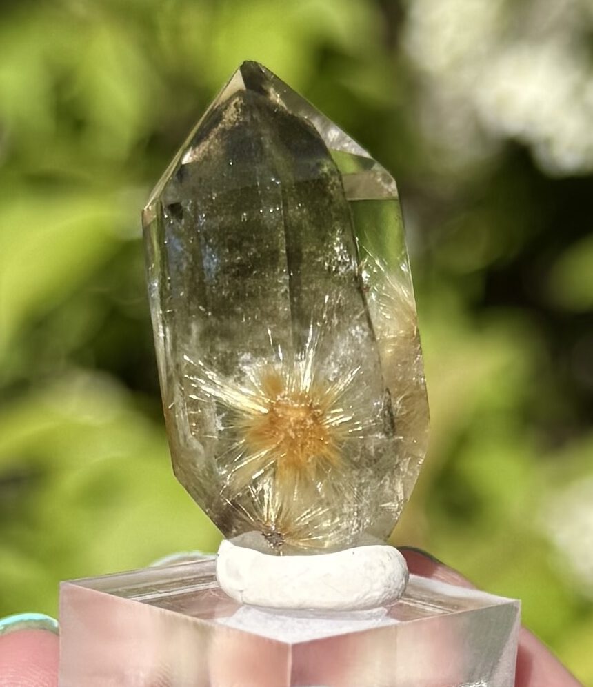 Golden Rutile "Flowers" in Gardenquartz fra Brasil