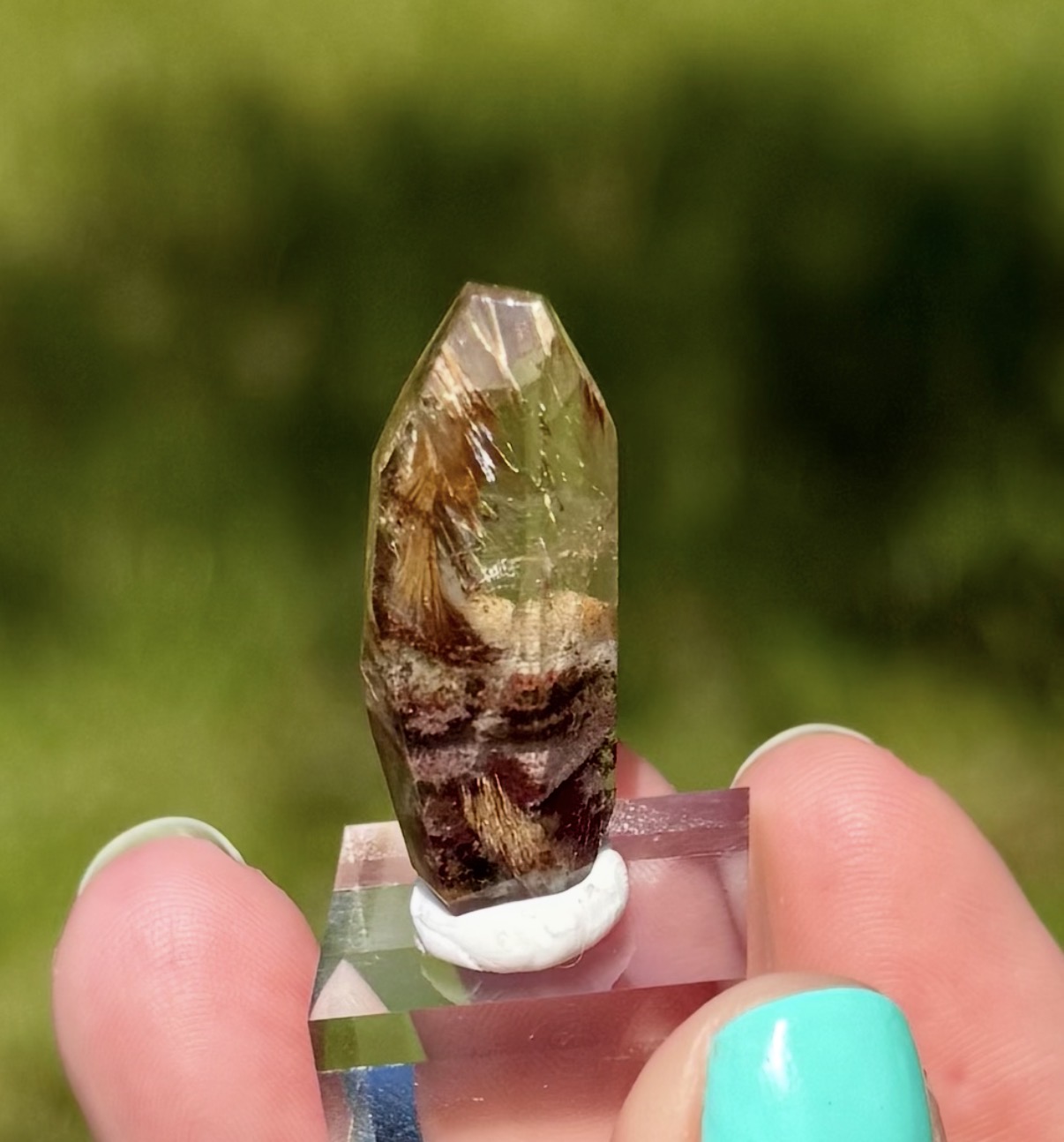 Golden Rutile ¨Flowers¨ in Gardenquartz Freeform