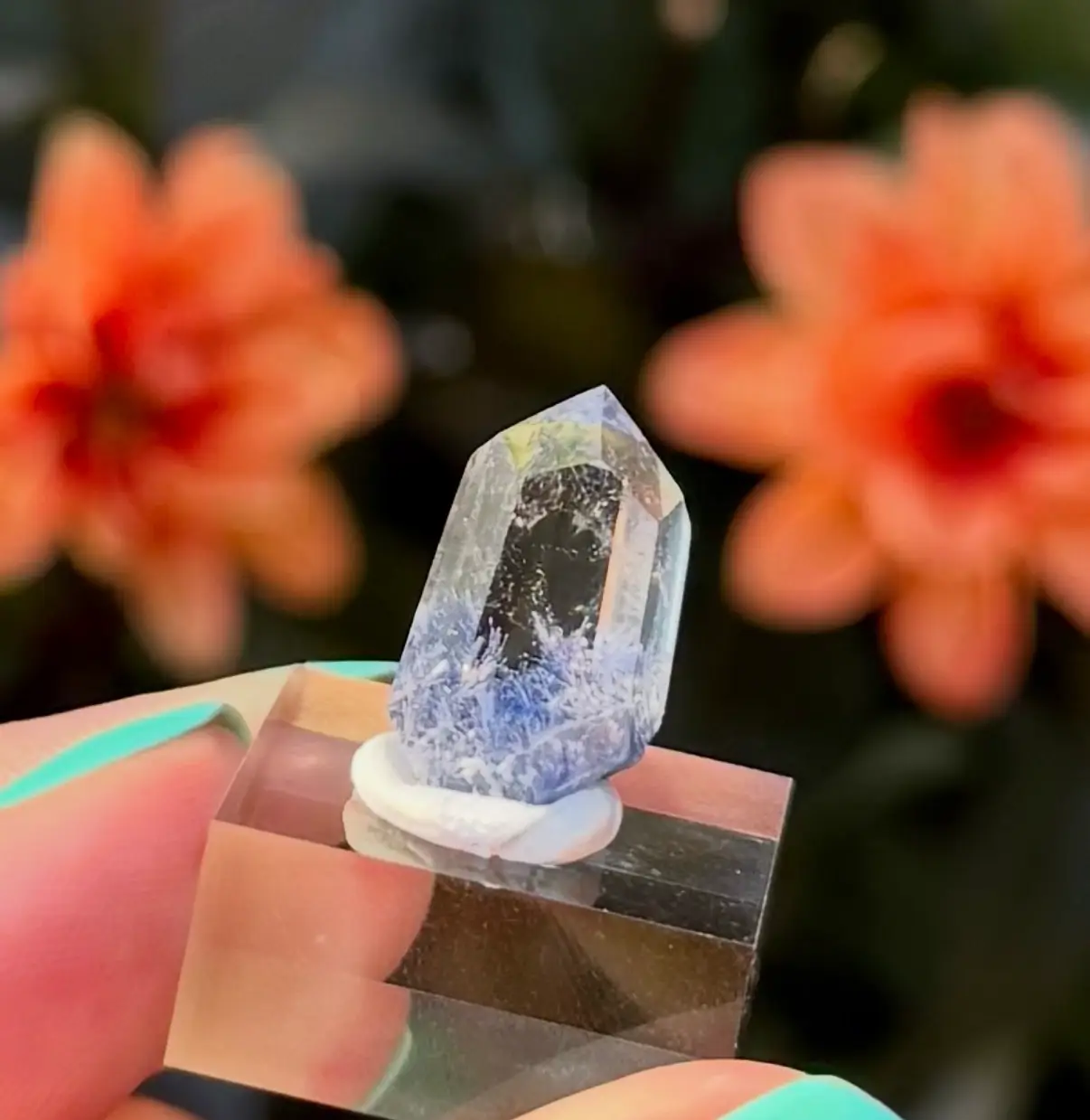Dumortierite in Quartz fra Brasil