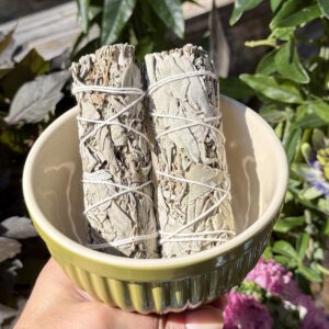 Hvit Salvie Medium Bunt