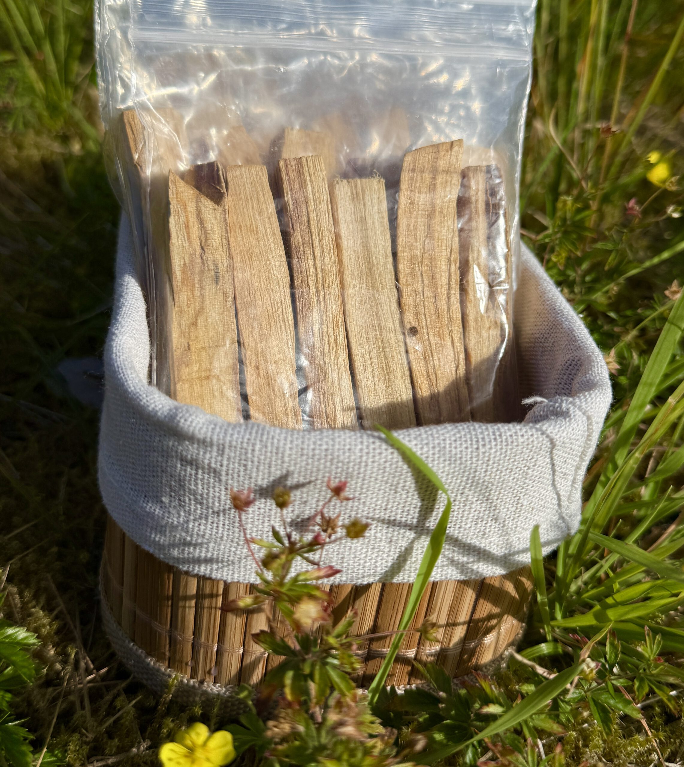 Palo Santo Ved