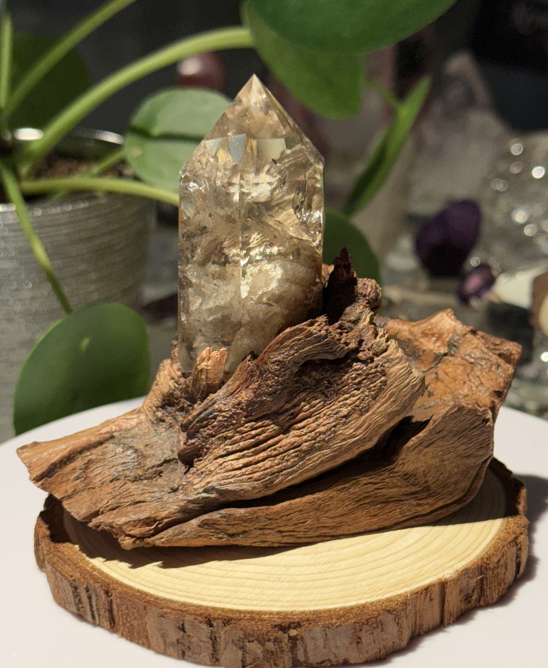 Gardenquartz på tre base - Bilde 4