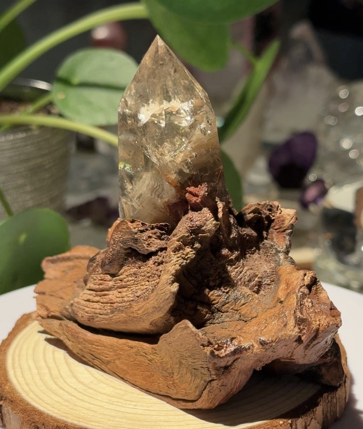 Gardenquartz på tre base - Bilde 2