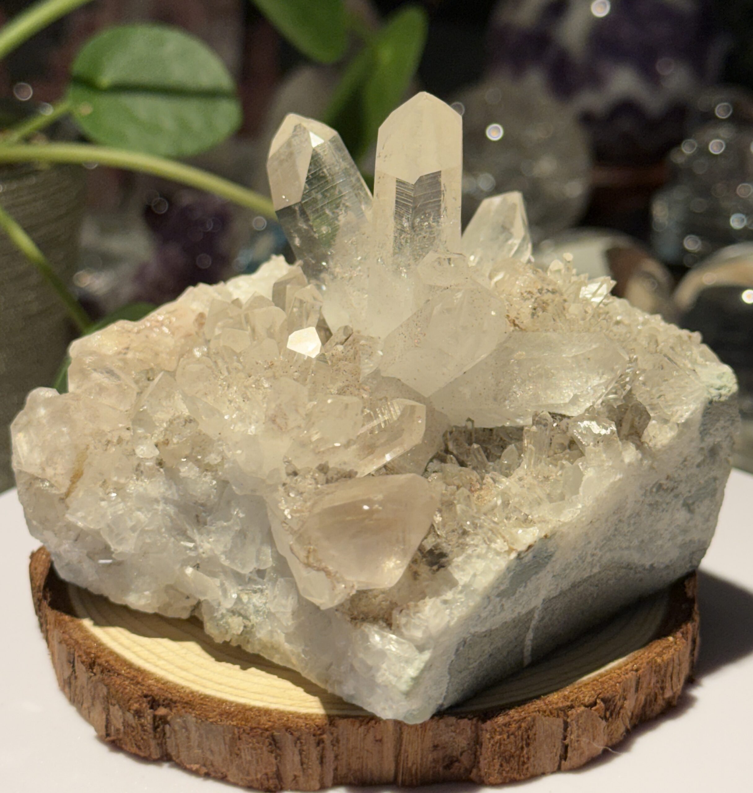 «Flower» Quartz Kluster - Bilde 2