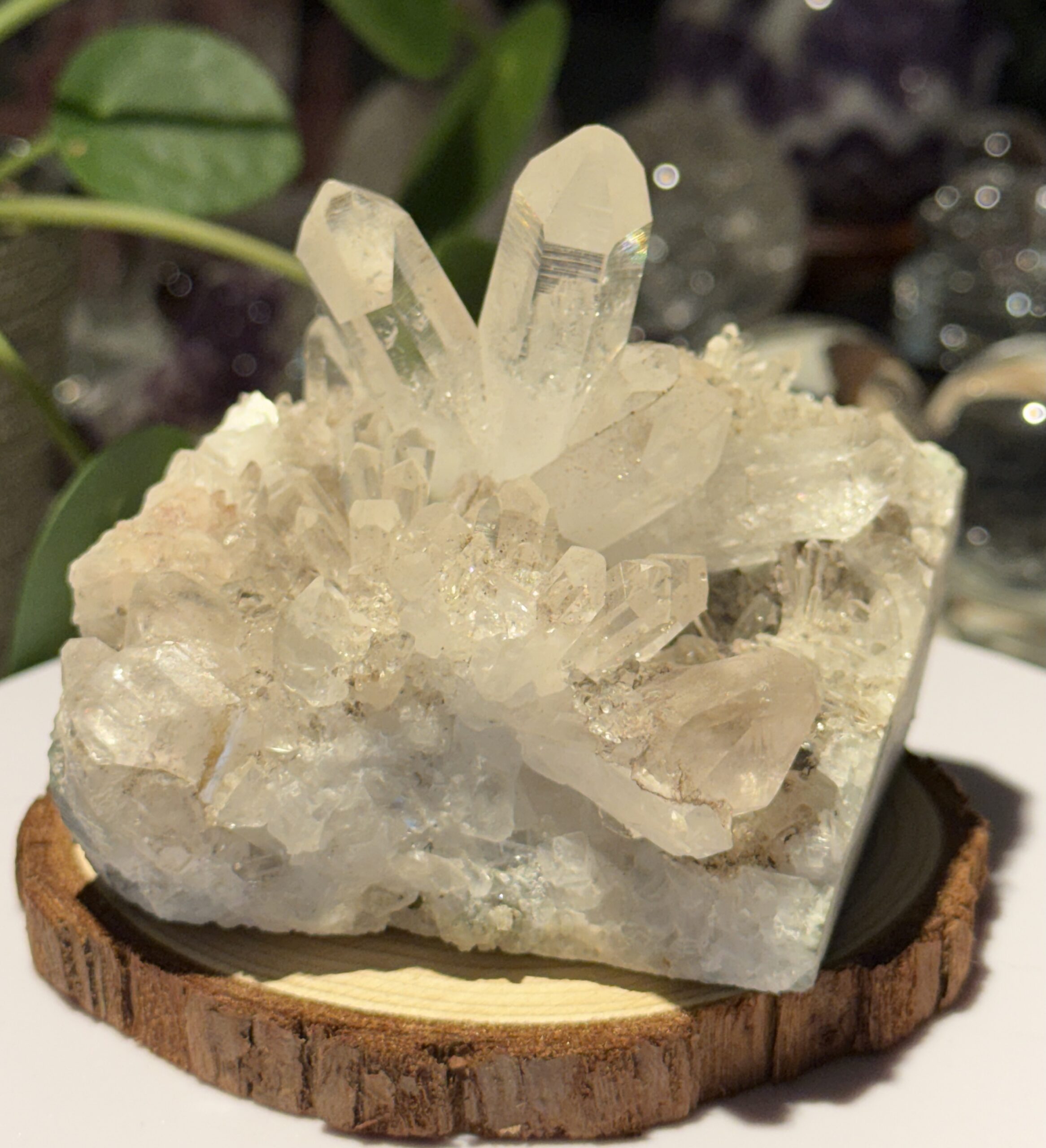«Flower» Quartz Kluster - Bilde 3