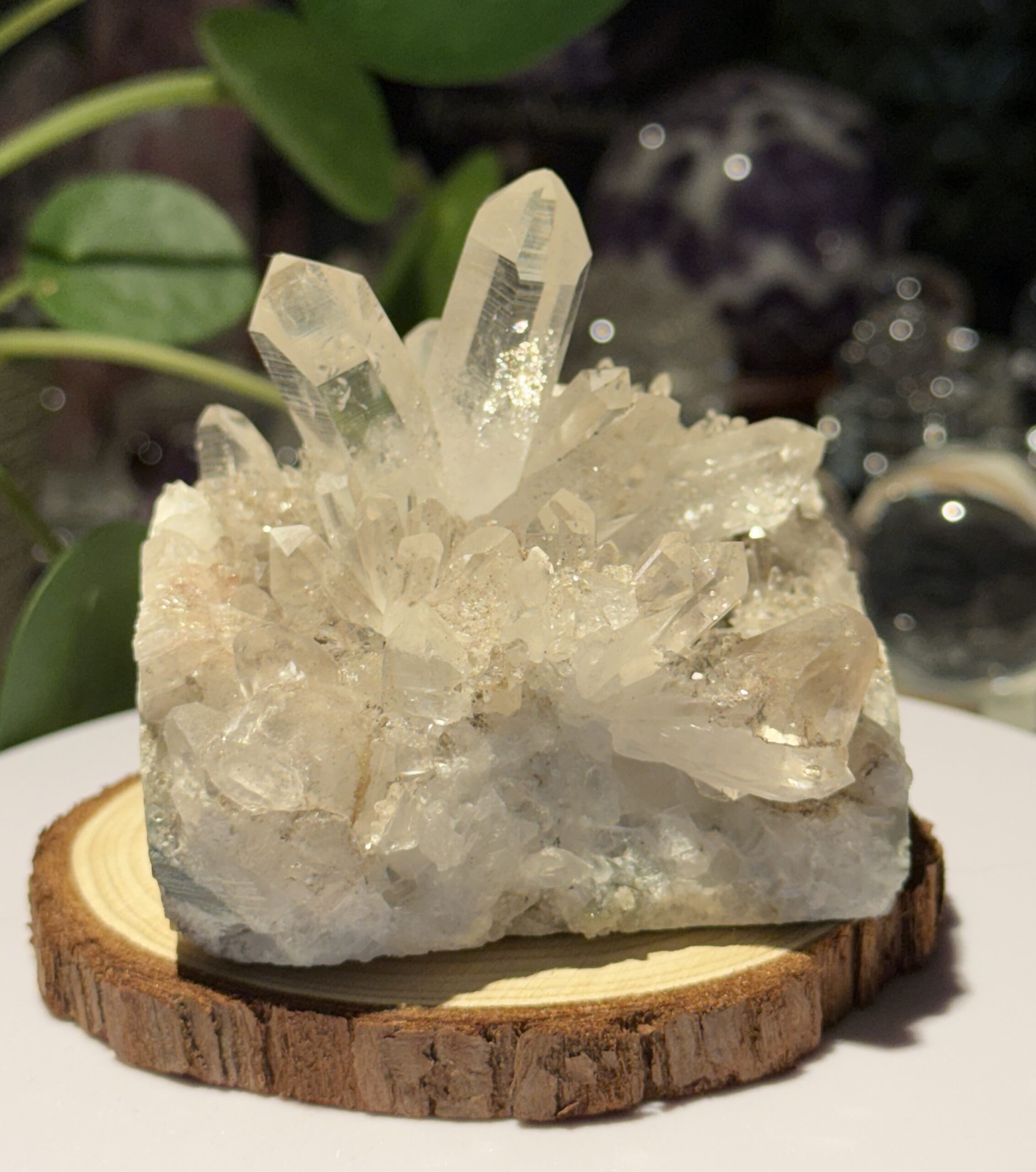 «Flower» Quartz Kluster - Bilde 4