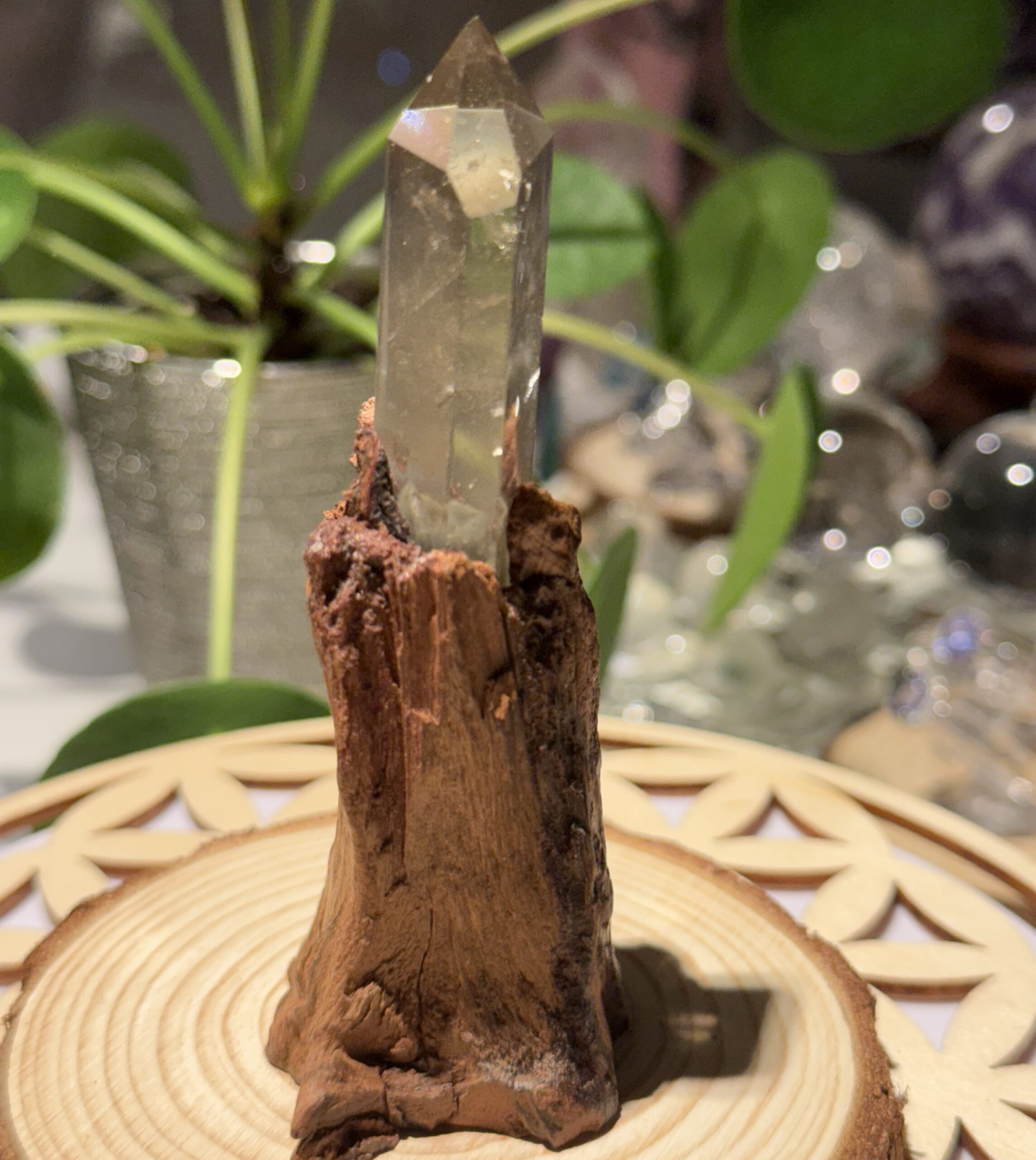 Gardenquartz på Fersken Tre base - Bilde 3