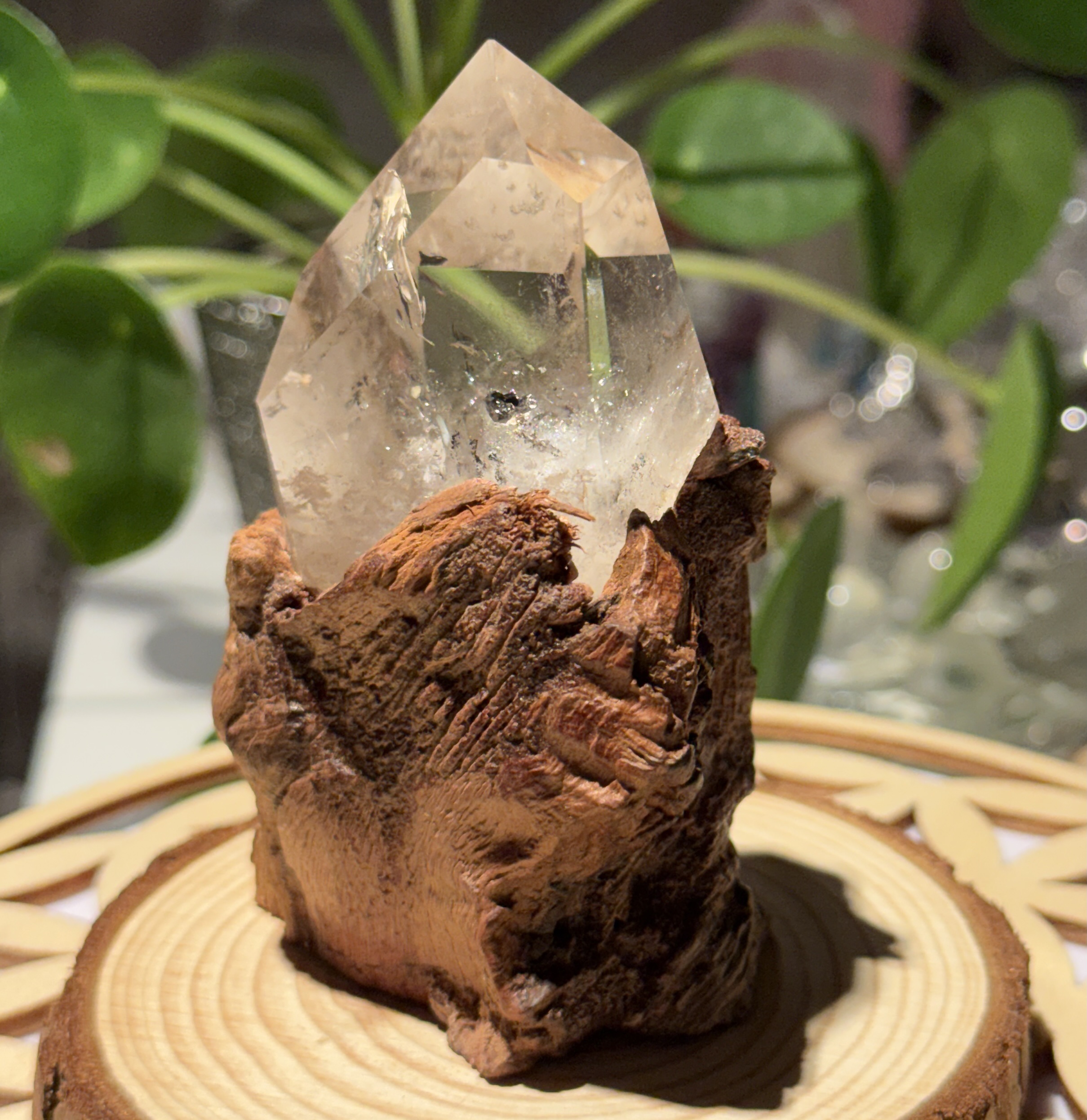 Gardenquartz på Fersken Tre base - Bilde 4