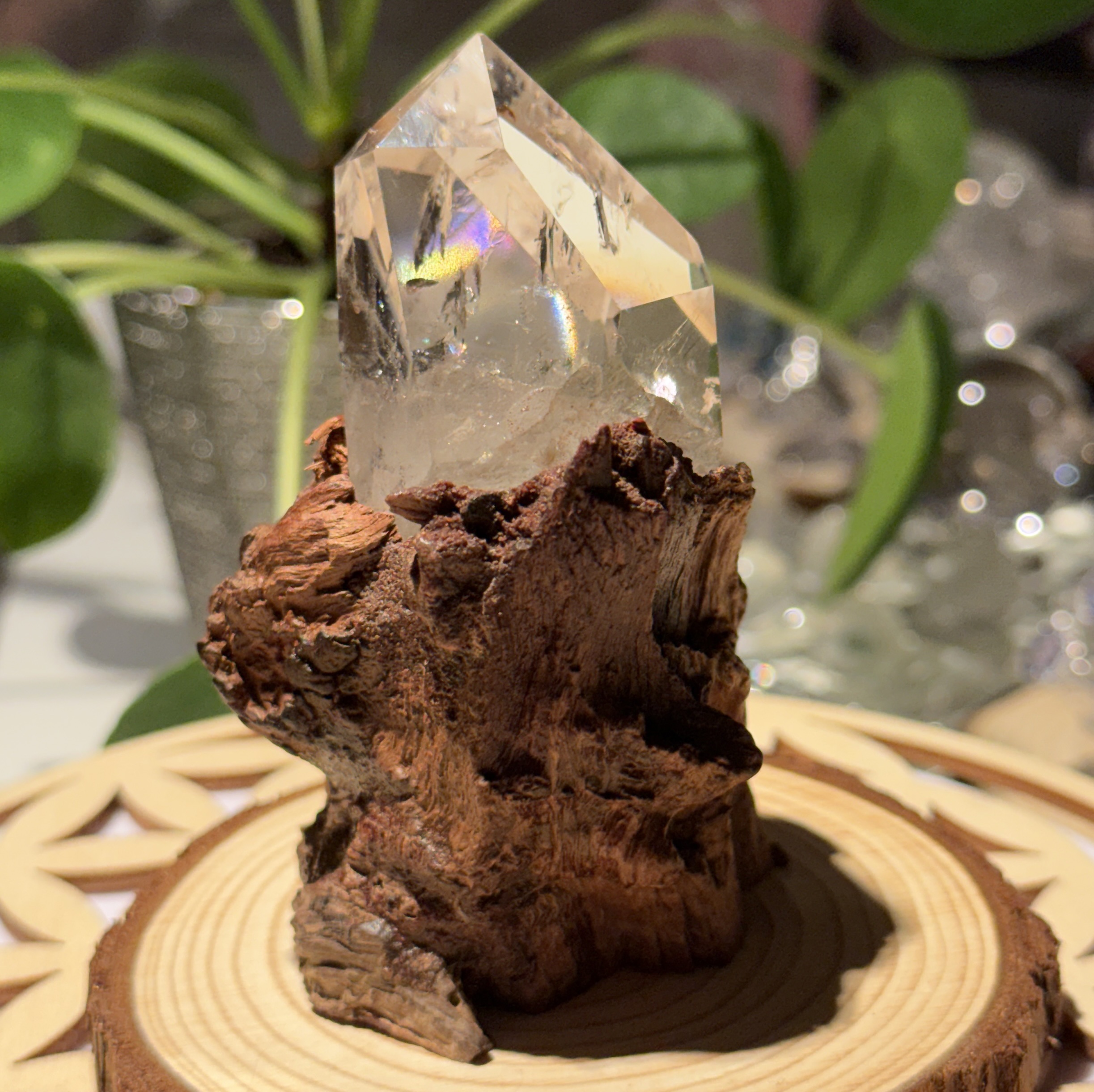 Gardenquartz på Fersken Tre base - Bilde 2